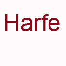 Oratorium: "Leben und Werk des Johannes von Gott", Harfe