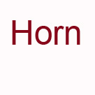 Oratorium: "Leben und Werk des Johannes von Gott", Horn